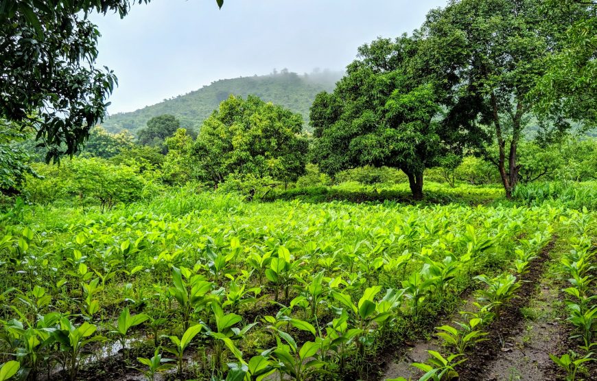 Mahabaleshwar Tour (Industrial Tour)